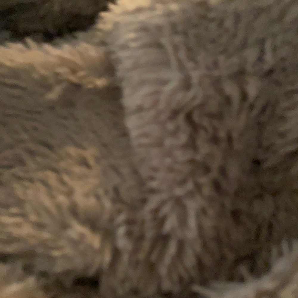 Meet your Posher, Nick